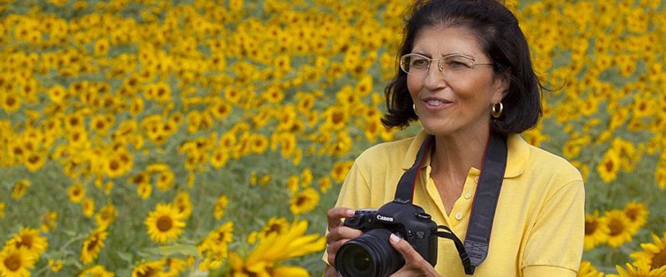 SENA EKEN SCHIEBER SCHOLARSHIP AWARD