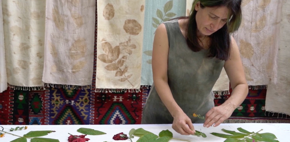 Social & Economic Development