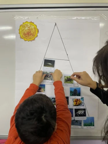 Yuvam Dünya Association – The Guardian of Biodiversity